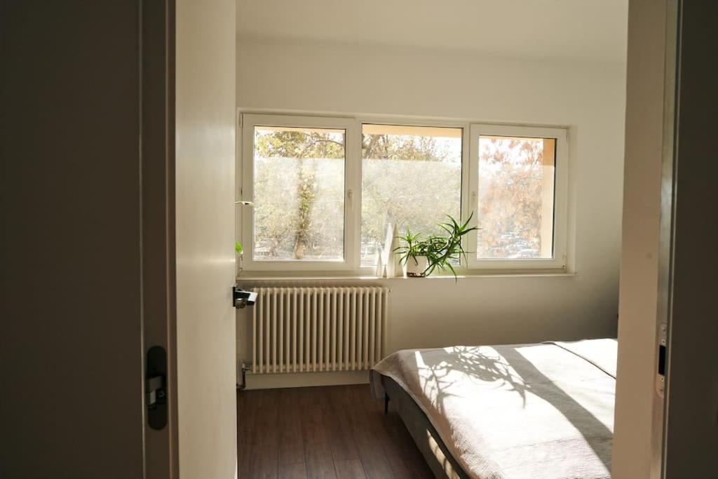 Ultracentral Two Rooms Apartment In בוקרשט מראה חיצוני תמונה